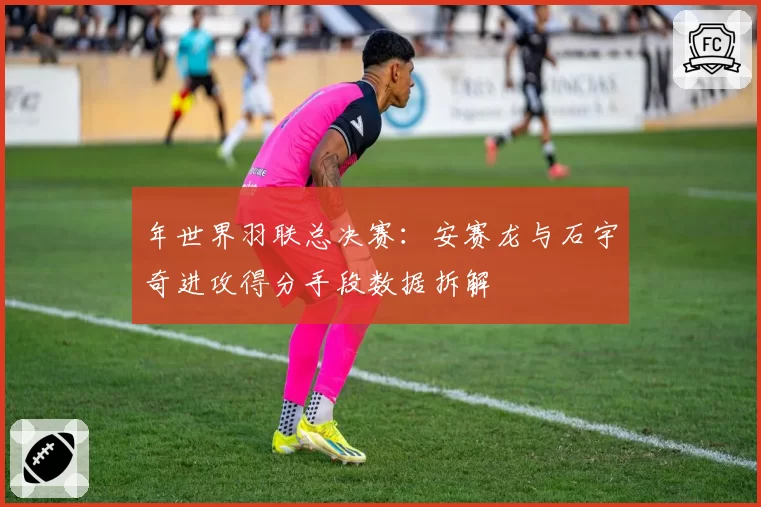 年世界羽联总决赛：安赛龙与石宇奇进攻得分手段数据拆解