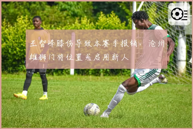 王智峰膝伤导致本赛季报销，沧州雄狮门将位置或启用新人