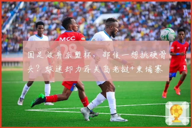 国足放弃东盟杯,邵佳一想挑硬骨头?球迷却力荐关岛老挝+柬埔寨