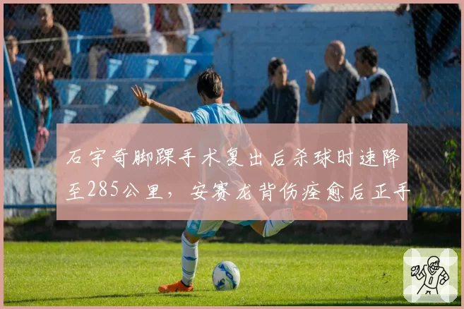 石宇奇脚踝手术复出后杀球时速降至285公里,安赛龙背伤痊愈后正手得分率回升至62%