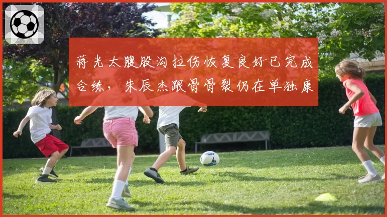 蒋光太腹股沟拉伤恢复良好已完成合练，朱辰杰跟骨骨裂仍在单独康复，申花防线双子星复出时间悬殊